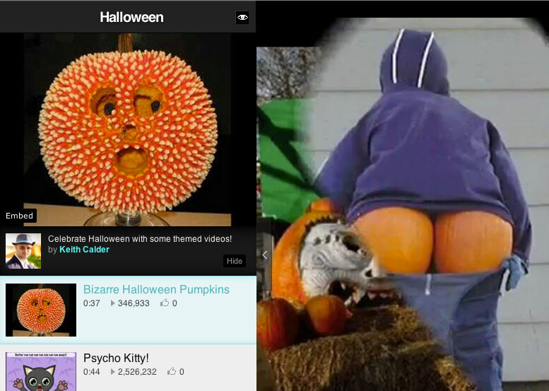 Keith Calder's Halloween playlist on VHX: Bizarre Halloween Pumpkins and Psycho Kitty