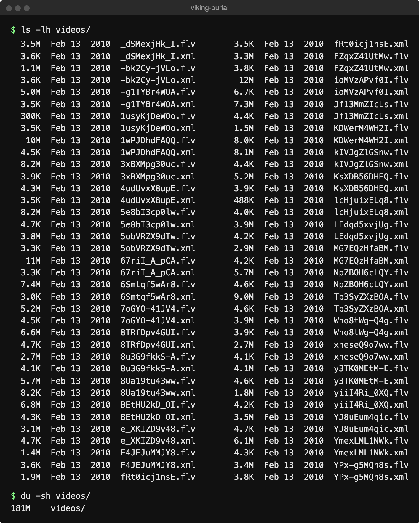 Terminal listing of the Viking Burial videos folder: 37 FLV videos and 37 XML metadata files, all dated February 13, 2010, 181 MB in total